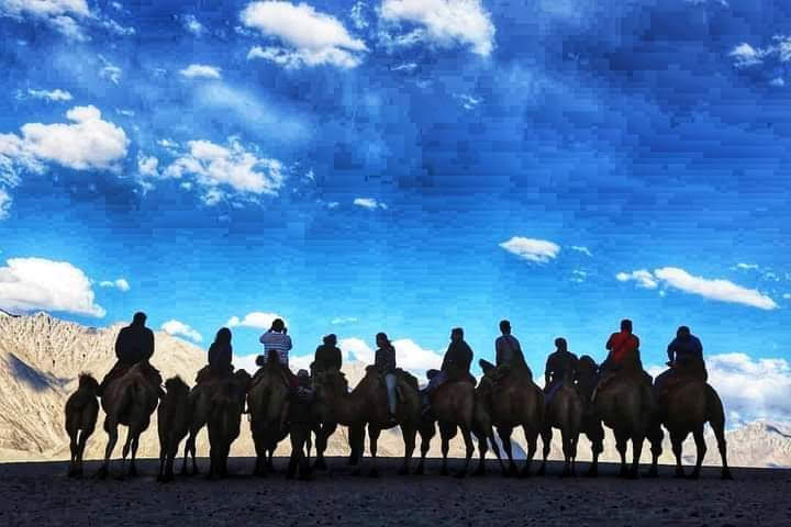 Camel Ride Nubra