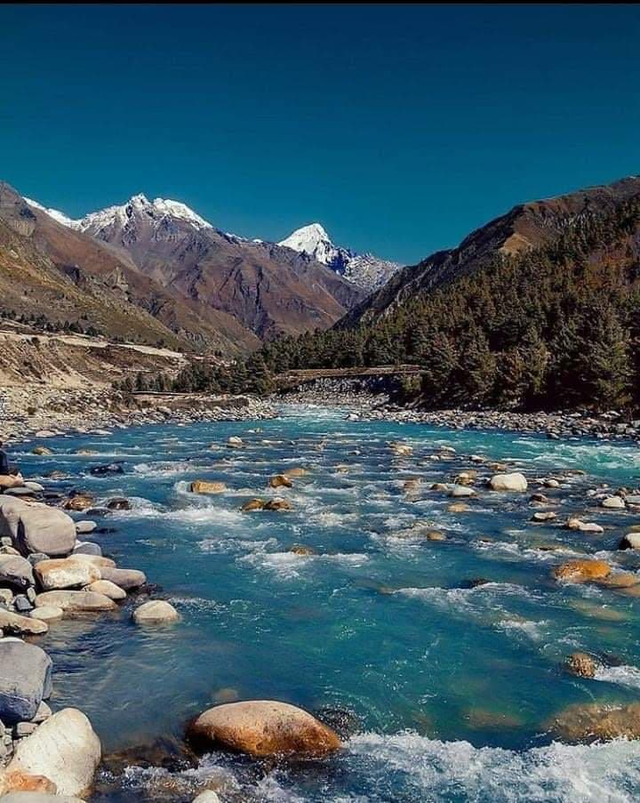 Nature
