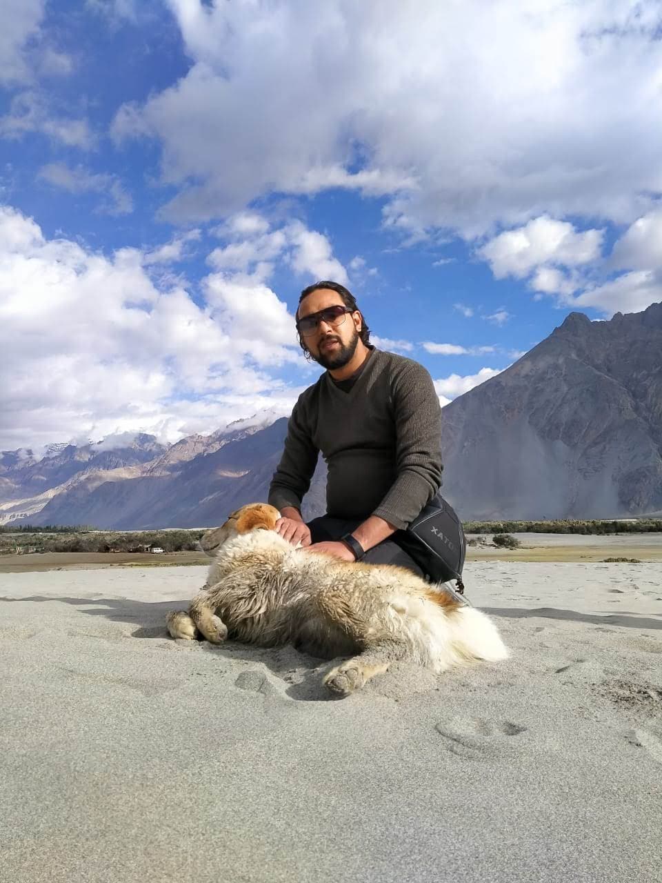 Sand Dunes With Dog